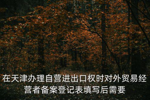 在天津辦理自營進出口權時對外貿易經營者備案登記表填寫后需要