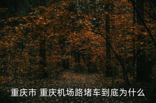 重慶市 重慶機場路堵車到底為什么