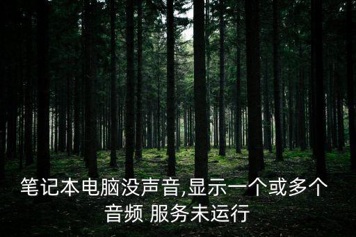 筆記本電腦沒聲音,顯示一個或多個 音頻 服務未運行