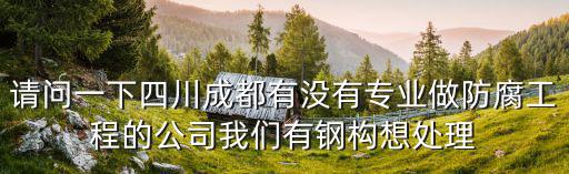 請問一下四川成都有沒有專業做防腐工程的公司我們有鋼構想處理