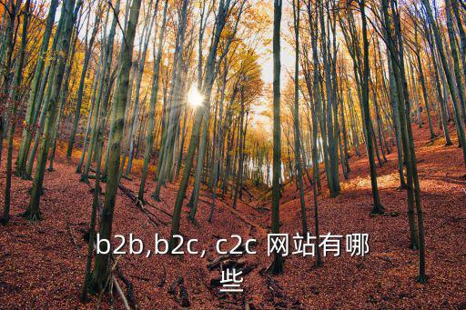 b2b,b2c, c2c 網站有哪些