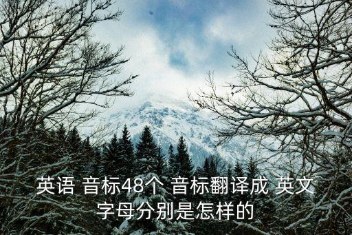 英語 音標48個 音標翻譯成 英文字母分別是怎樣的