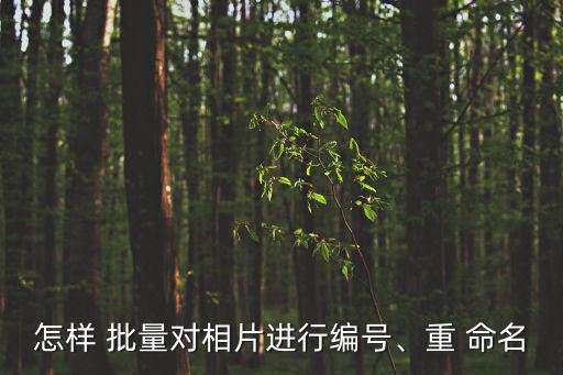 照片批量重命名,怎么做批量weight命名?四步驟!
