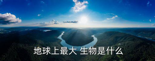 地球最大的生物,地球最大陸地上最大動(dòng)物是大象