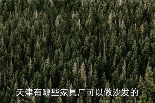 天津有哪些家具廠可以做沙發的