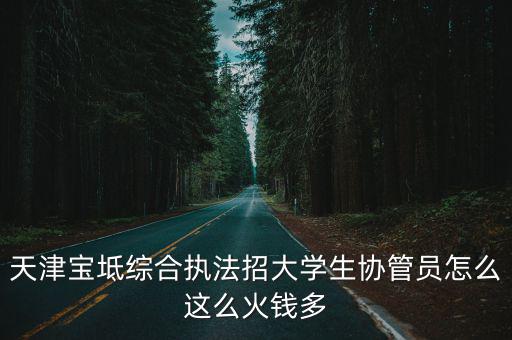 天津寶坻綜合執法招大學生協管員怎么這么火錢多