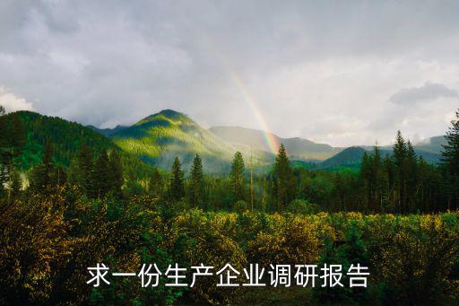 求一份生產企業調研報告