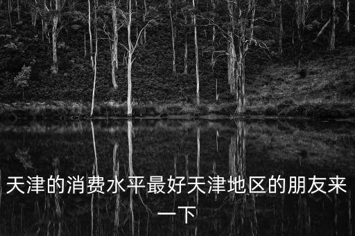 天津的消費水平最好天津地區的朋友來一下