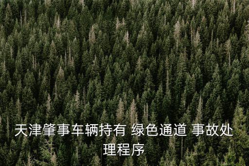 天津肇事車輛持有 綠色通道 事故處理程序