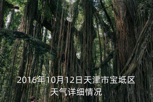 天津市寶坻區(qū)大口屯天氣，天津市寶坻區(qū)明日天氣