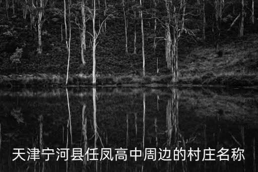 天津寧河縣任鳳高中周邊的村莊名稱