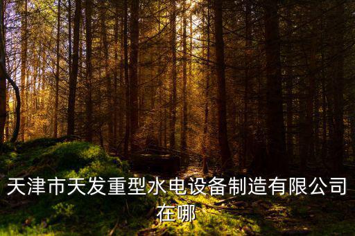 天津市天發重型水電設備制造有限公司在哪