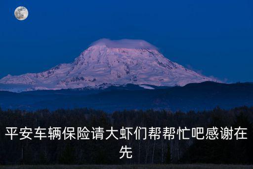 平安車輛保險請大蝦們幫幫忙吧感謝在先