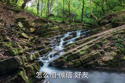 怎么添加微信好友,電腦版微信添加好友具體步驟如下