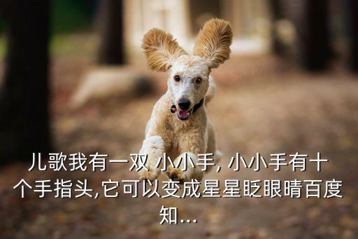 我的小小手,第二集:我有一雙小小手