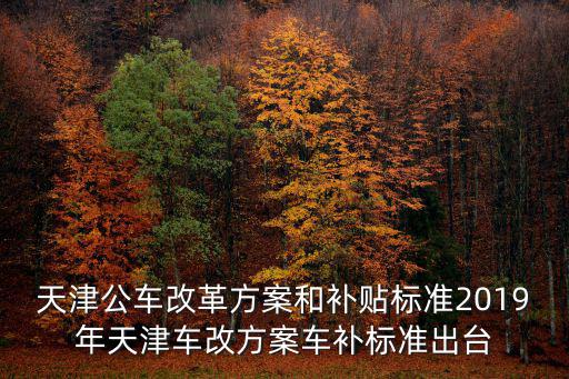 天津公車(chē)改革方案和補(bǔ)貼標(biāo)準(zhǔn)2019年天津車(chē)改方案車(chē)補(bǔ)標(biāo)準(zhǔn)出臺(tái)