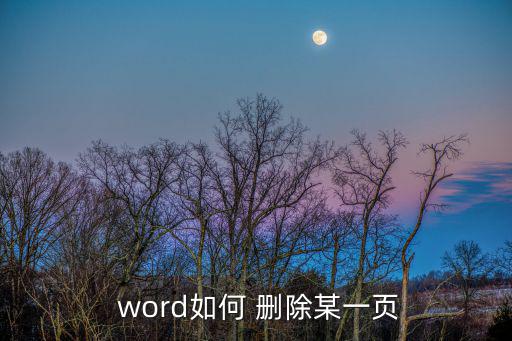  word如何 刪除某一頁