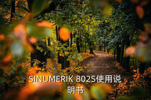 SINUMERIK 802S使用說明書