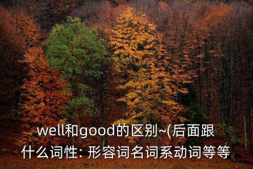 well和good的區(qū)別~(后面跟什么詞性: 形容詞名詞系動詞等等