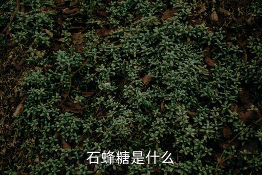 石蜜,中國(guó)古代醫(yī)學(xué)家把蜂蜜分為幾類(lèi)