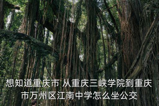 想知道重慶市 從重慶三峽學院到重慶市萬州區江南中學怎么坐公交
