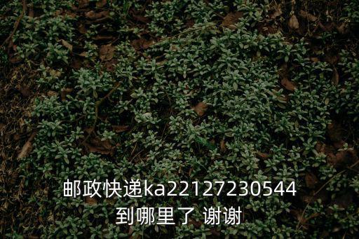 郵政快遞ka22127230544到哪里了 謝謝