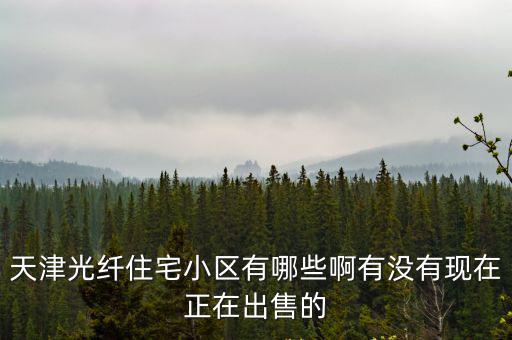 天津光纖住宅小區(qū)有哪些啊有沒有現(xiàn)在正在出售的