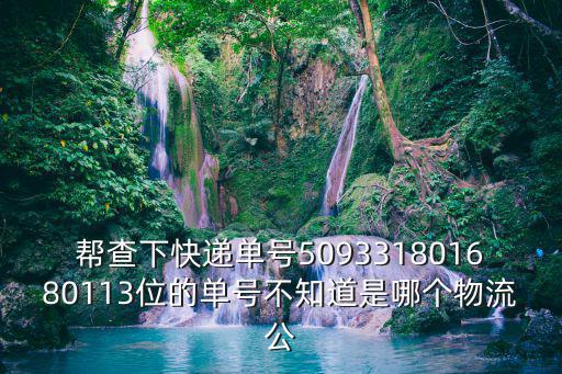 幫查下快遞單號509331801680113位的單號不知道是哪個物流公