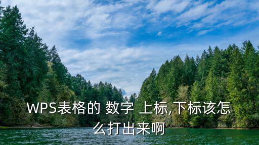 數(shù)字上標(biāo)怎么打,數(shù)字快捷鍵:選擇的數(shù)字變成下標(biāo)格式