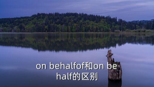 on behalfof和on behalf的區別