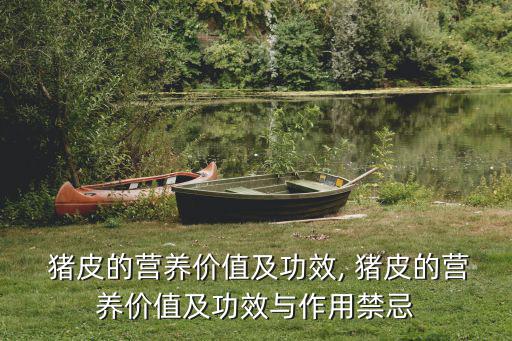  豬皮的營養價值及功效, 豬皮的營養價值及功效與作用禁忌