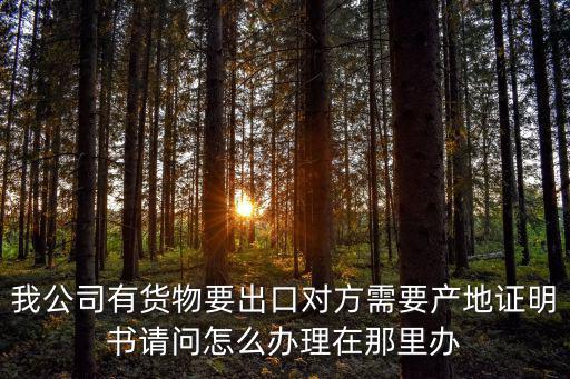 天津市出口備案證明書，出口貨物備案單證流程或步驟說明