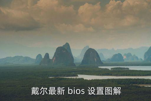 戴爾bios設(shè)置,戴爾電腦bios設(shè)置u盤啟動示教程