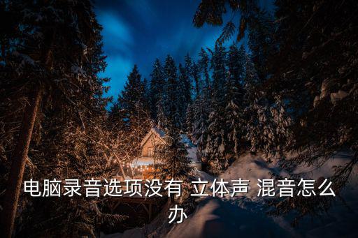 立體聲混音,麥克風(fēng)音量調(diào)整好了嗎?