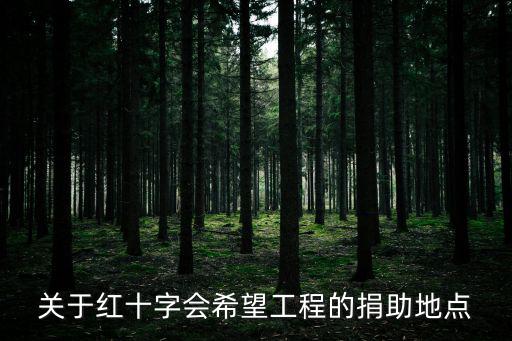 關于紅十字會希望工程的捐助地點