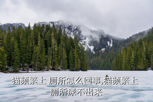 貓頻繁上 廁所怎么回事,貓頻繁上 廁所尿不出來