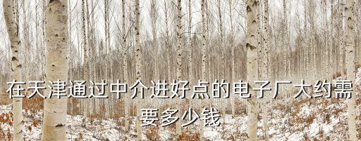 在天津通過中介進好點的電子廠大約需要多少錢