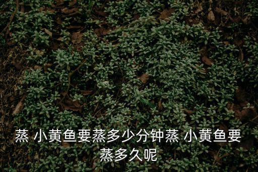 清蒸小黃魚,秘制小黃魚秘訣（1）