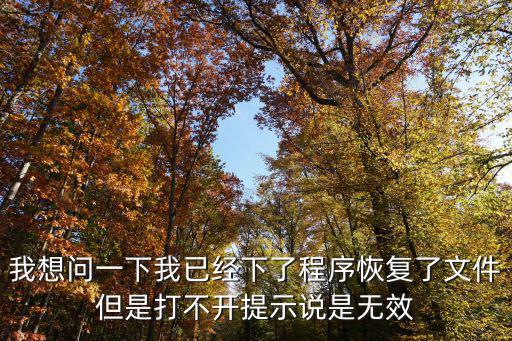我想問一下我已經下了程序恢復了文件但是打不開提示說是無效