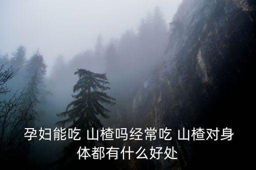  孕婦能吃 山楂嗎經常吃 山楂對身體都有什么好處