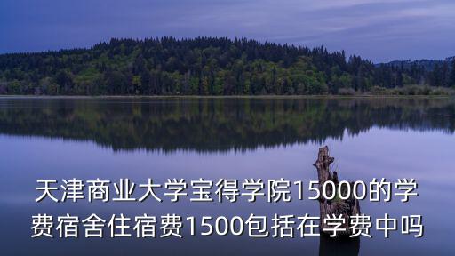 天津商業(yè)大學寶得學院15000的學費宿舍住宿費1500包括在學費中嗎