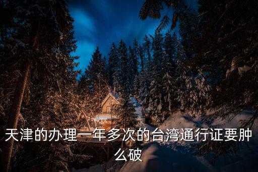 天津的辦理一年多次的臺灣通行證要腫么破