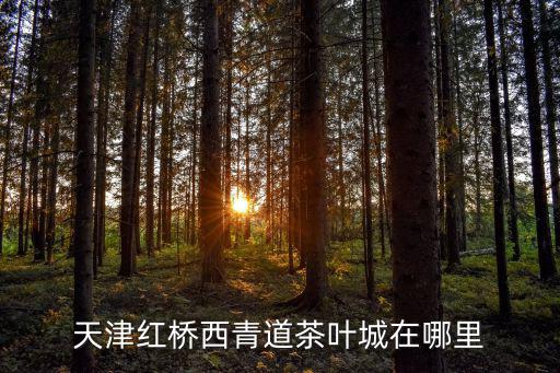 天津紅橋西青道茶葉城在哪里