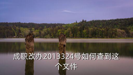 成都市健康服務業領導小組，成職改辦2013324號如何查到這個文件