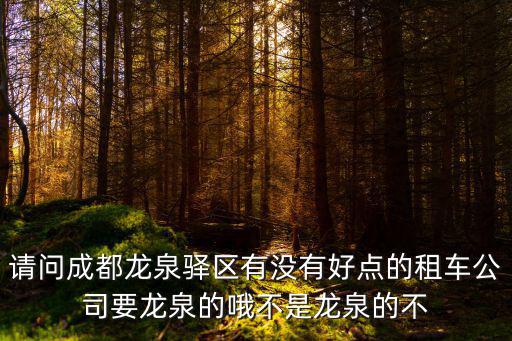 請問成都龍泉驛區有沒有好點的租車公司要龍泉的哦不是龍泉的不