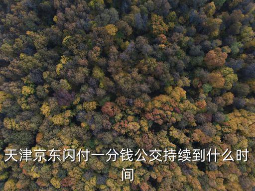 天津京東閃付一分錢公交持續到什么時間
