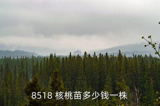 天津市核桃苗，天津什么地方賣核桃樹苗