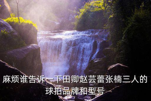 麻煩誰告訴一下田卿趙蕓蕾張楠三人的球拍品牌和型號