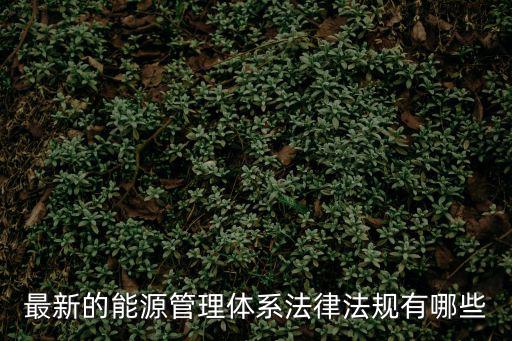 最新的能源管理體系法律法規(guī)有哪些