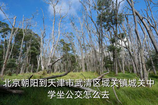 天津市城關(guān)鎮(zhèn)中學，想知道 天津市 薊縣城關(guān)鎮(zhèn)中學地址 在哪 確切地址要寄信